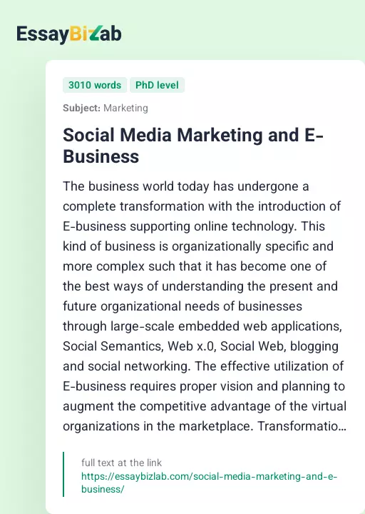 Social Media Marketing and E-Business - Essay Preview