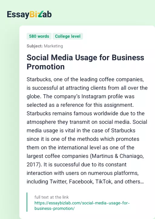 Social Media Usage for Business Promotion - Essay Preview
