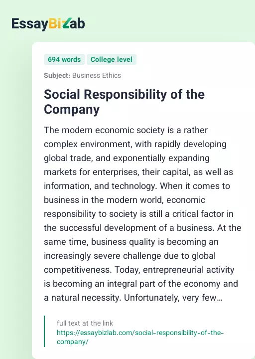 Social Responsibility of the Company - Essay Preview