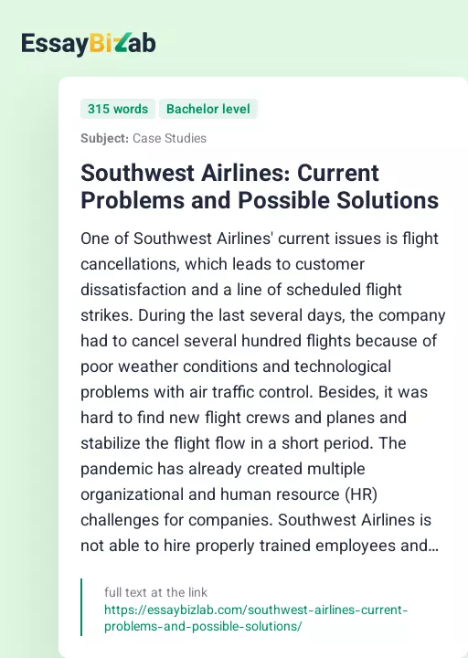 Southwest Airlines: Current Problems and Possible Solutions - Essay Preview