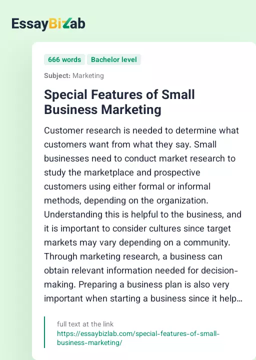 Special Features of Small Business Marketing - Essay Preview