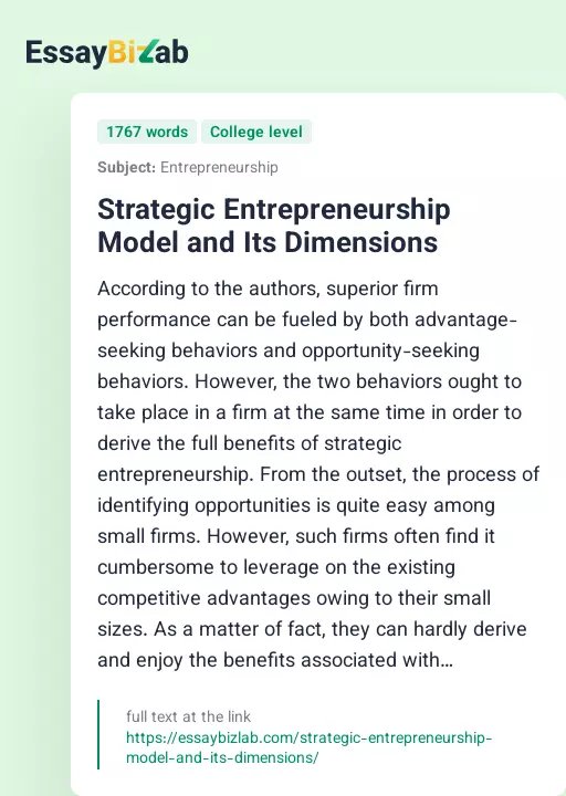 Strategic Entrepreneurship Model and Its Dimensions - Essay Preview