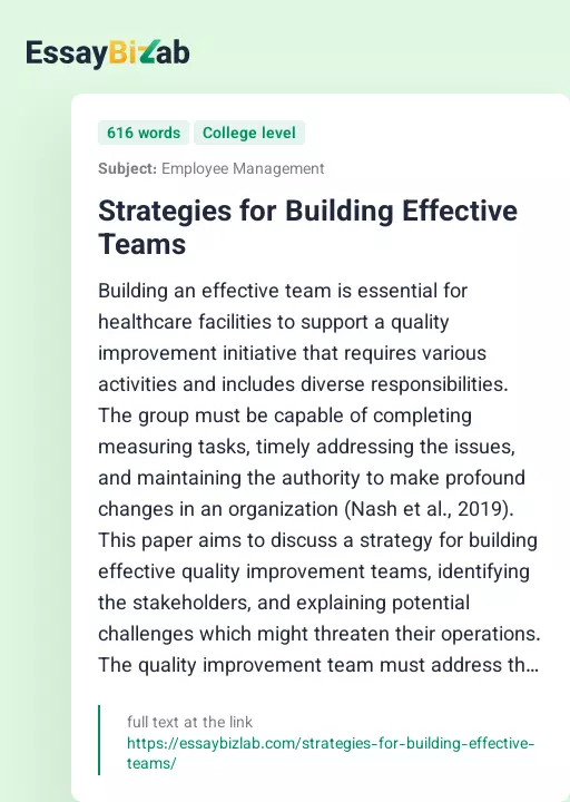 Strategies for Building Effective Teams - Essay Preview
