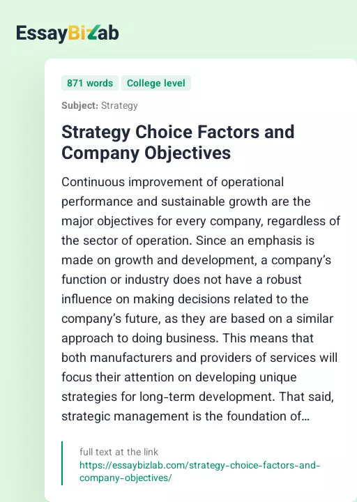 Strategy Choice Factors and Company Objectives - Essay Preview