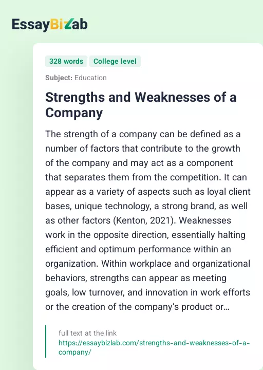 Strengths and Weaknesses of a Company - Essay Preview