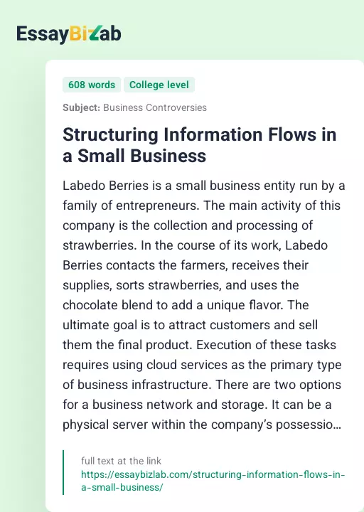 Structuring Information Flows in a Small Business - Essay Preview