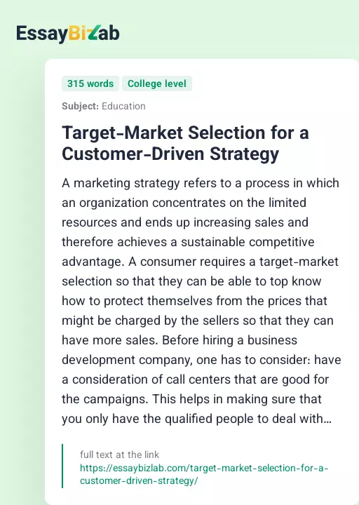 Target-Market Selection for a Customer-Driven Strategy - Essay Preview