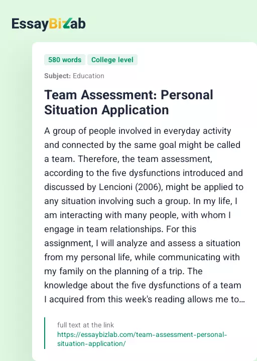 Team Assessment: Personal Situation Application - Essay Preview