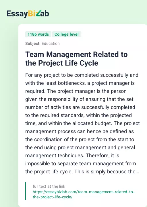Team Management Related to the Project Life Cycle - Essay Preview