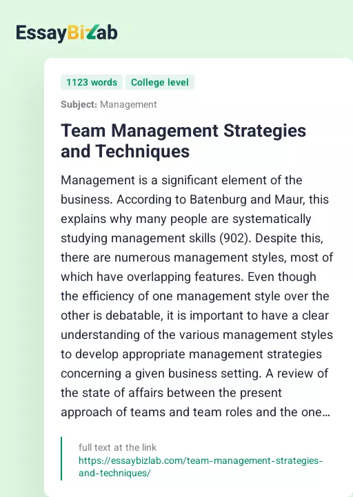 Team Management Strategies and Techniques - Essay Preview