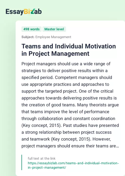 Teams and Individual Motivation in Project Management - Essay Preview
