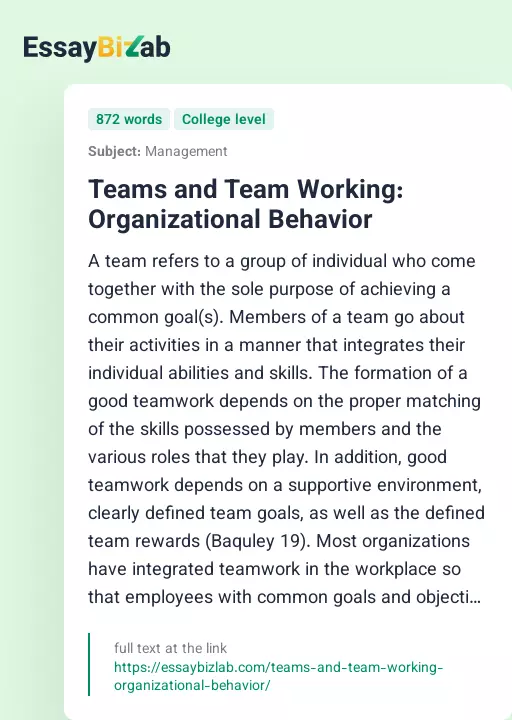 Teams and Team Working: Organizational Behavior - Essay Preview