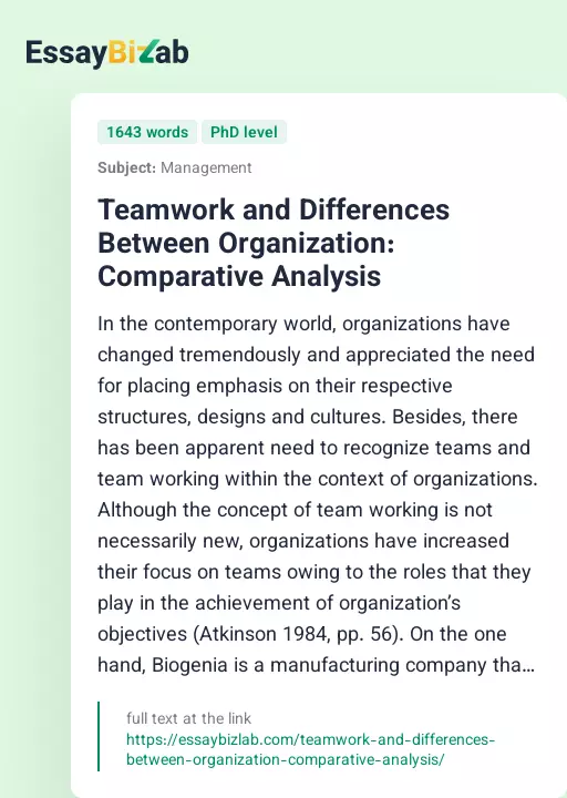 Teamwork and Differences Between Organization: Comparative Analysis - Essay Preview