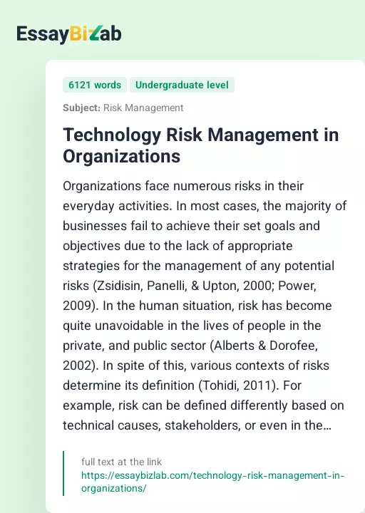 Technology Risk Management in Organizations - Essay Preview