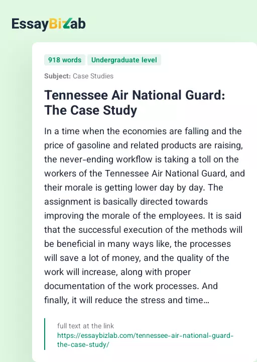 Tennessee Air National Guard: The Case Study - Essay Preview