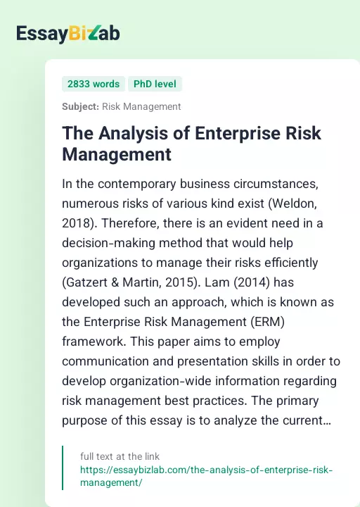 The Analysis of Enterprise Risk Management - Essay Preview