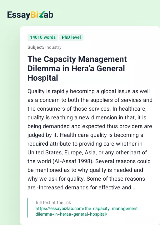 The Capacity Management Dilemma in Hera’a General Hospital - Essay Preview