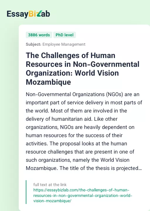 The Challenges of Human Resources in Non-Governmental Organization: World Vision Mozambique - Essay Preview