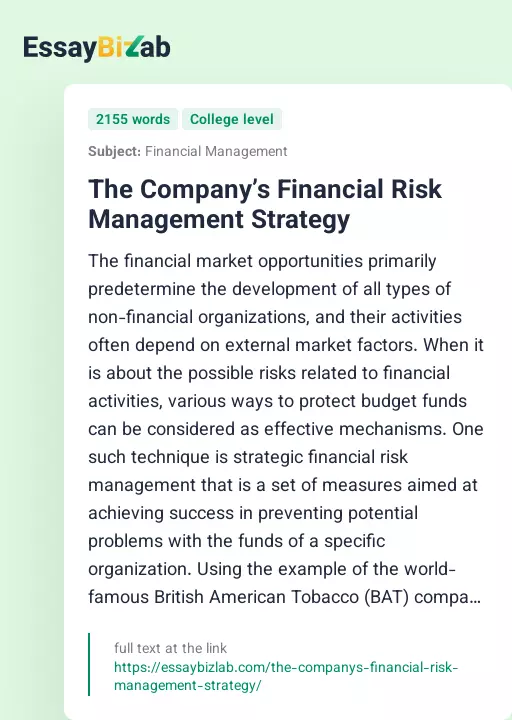 The Company’s Financial Risk Management Strategy - Essay Preview