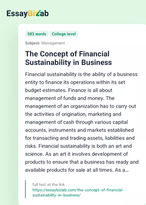 The Concept of Financial Sustainability in Business - Essay Preview