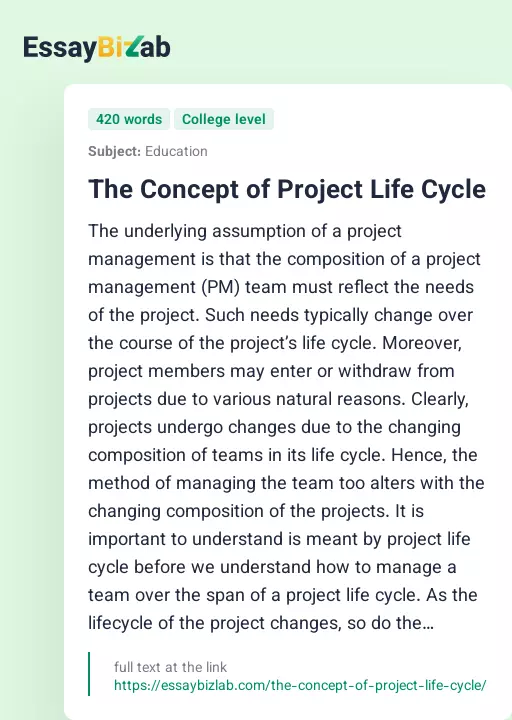 The Concept of Project Life Cycle - Essay Preview