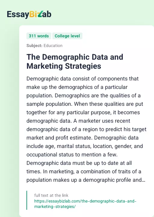 The Demographic Data and Marketing Strategies - Essay Preview