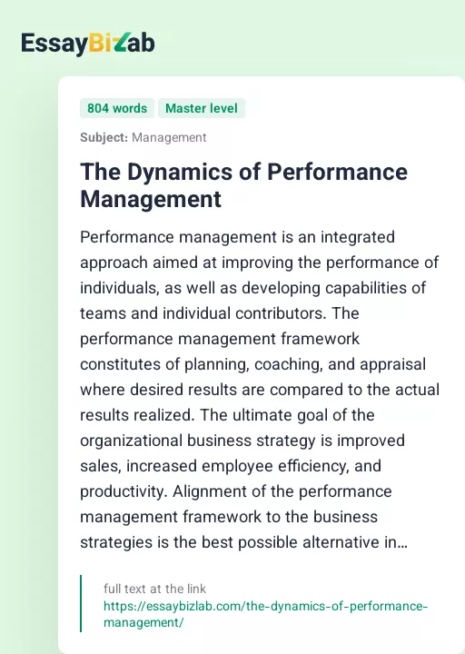 The Dynamics of Performance Management - Essay Preview