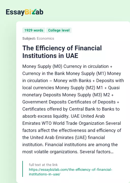 The Efficiency of Financial Institutions in UAE - Essay Preview