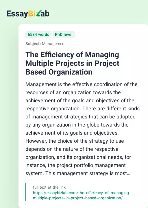 The Efficiency of Managing Multiple Projects in Project Based Organization - Essay Preview