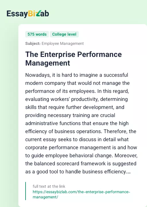 The Enterprise Performance Management - Essay Preview