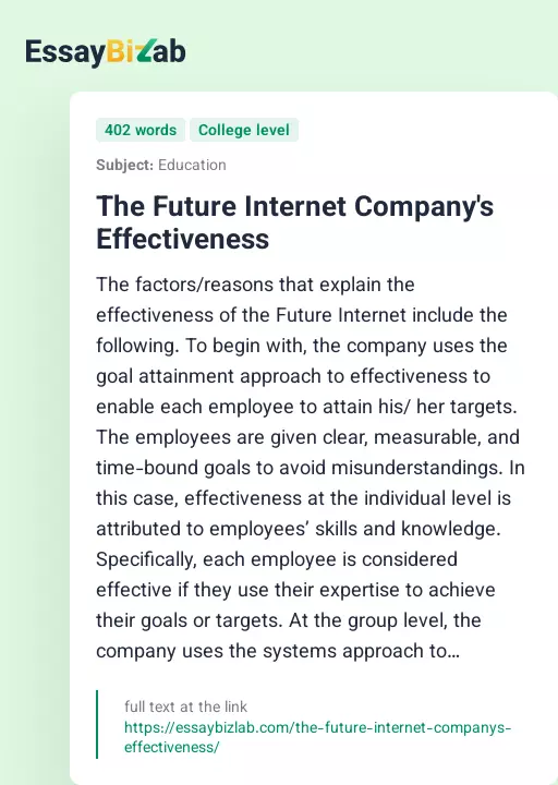 The Future Internet Company's Effectiveness - Essay Preview