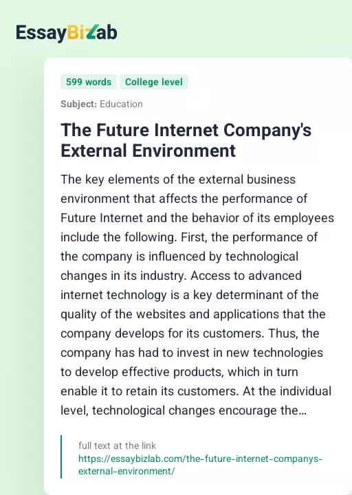 The Future Internet Company's External Environment - Essay Preview