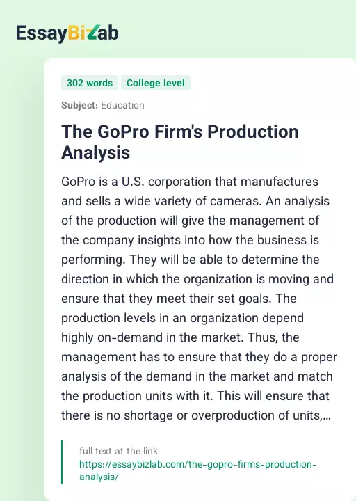 The GoPro Firm's Production Analysis - Essay Preview