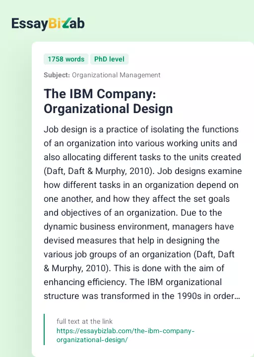 The IBM Company: Organizational Design - Essay Preview