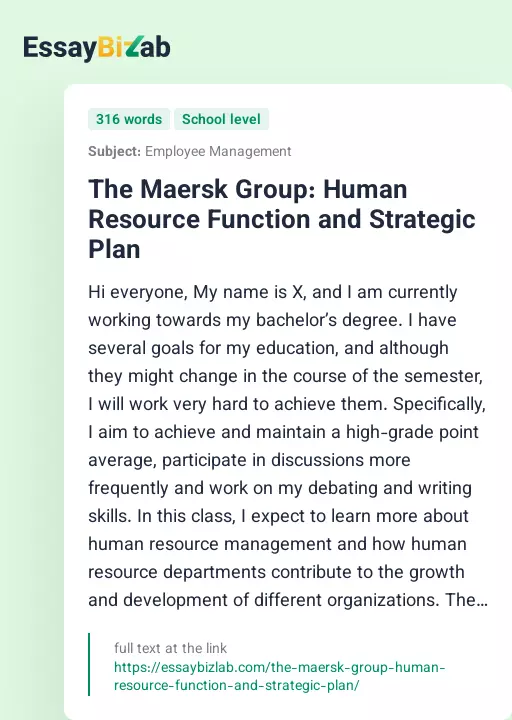 The Maersk Group: Human Resource Function and Strategic Plan - Essay Preview