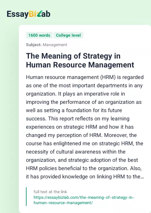The Meaning of Strategy in Human Resource Management - Essay Preview