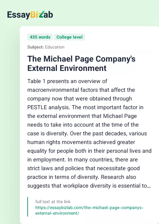 The Michael Page Company's External Environment - Essay Preview