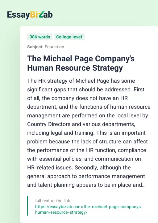 The Michael Page Company's Human Resource Strategy - Essay Preview
