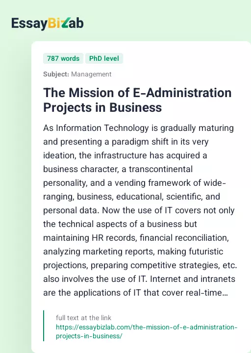 The Mission of E-Administration Projects in Business - Essay Preview