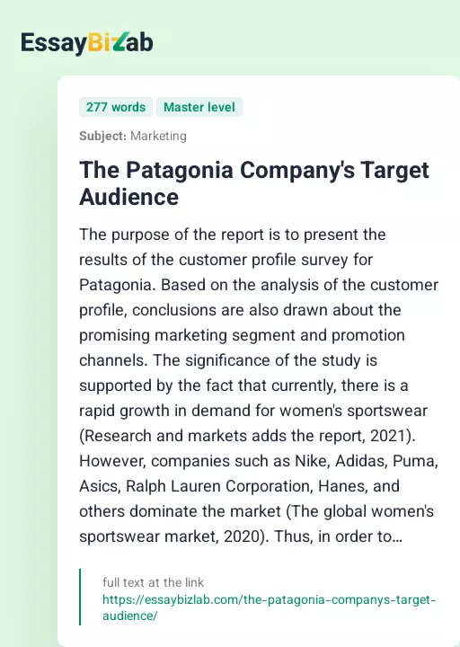 The Patagonia Company's Target Audience - Essay Preview