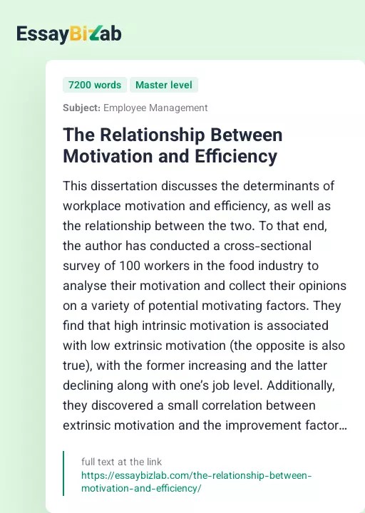The Relationship Between Motivation and Efficiency - Essay Preview