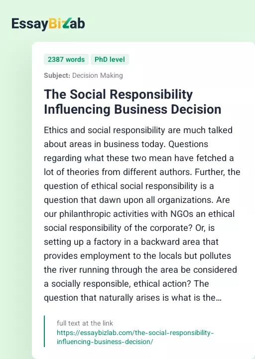 The Social Responsibility Influencing Business Decision - Essay Preview