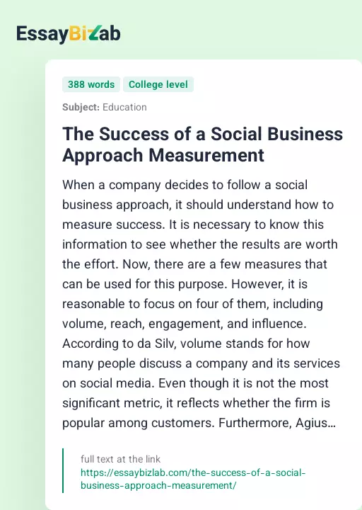 The Success of a Social Business Approach Measurement - Essay Preview