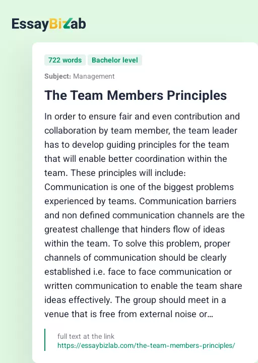 The Team Members Principles - Essay Preview