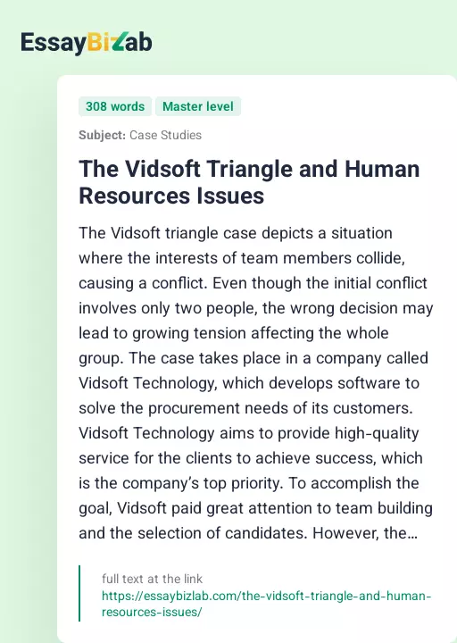 The Vidsoft Triangle and Human Resources Issues - Essay Preview