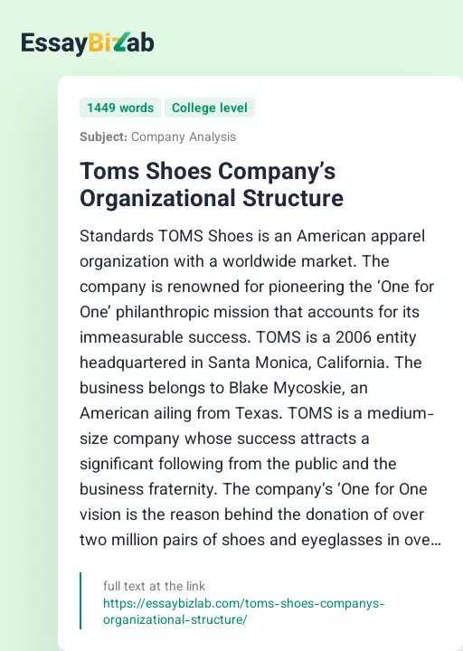 Toms Shoes Company’s Organizational Structure - Essay Preview