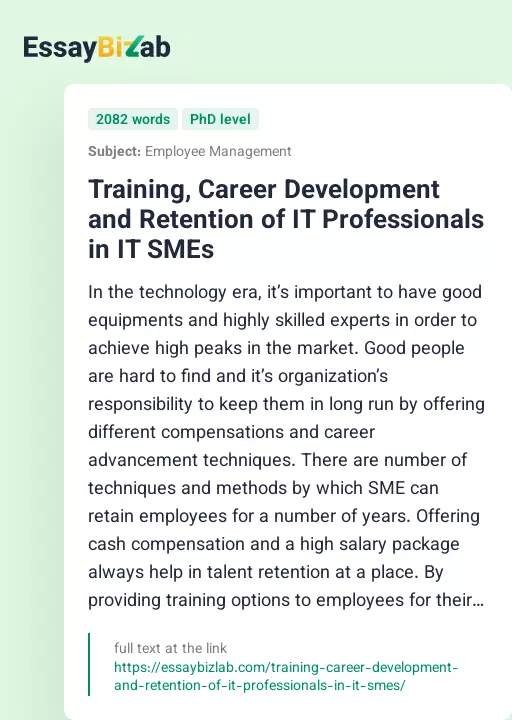 Training, Career Development and Retention of IT Professionals in IT SMEs - Essay Preview