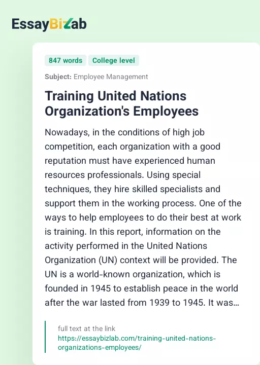 Training United Nations Organization's Employees - Essay Preview