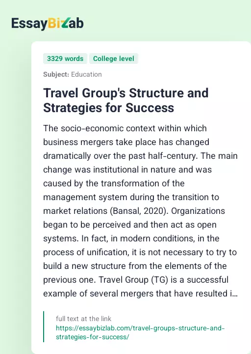 Travel Group's Structure and Strategies for Success - Essay Preview