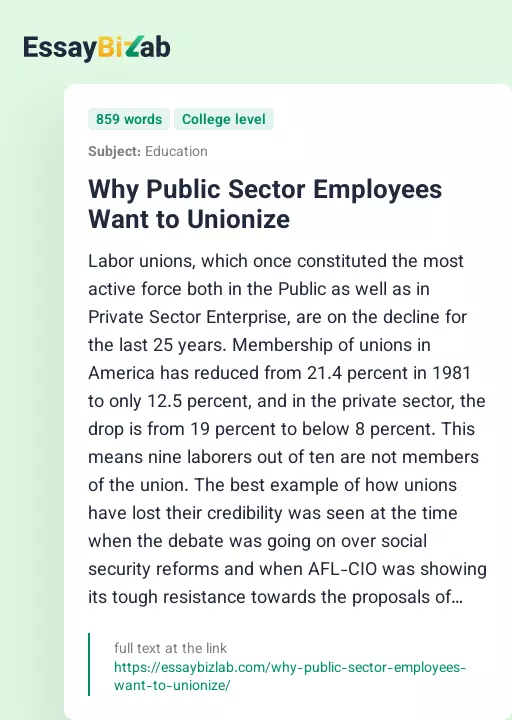 Why Public Sector Employees Want to Unionize - Essay Preview